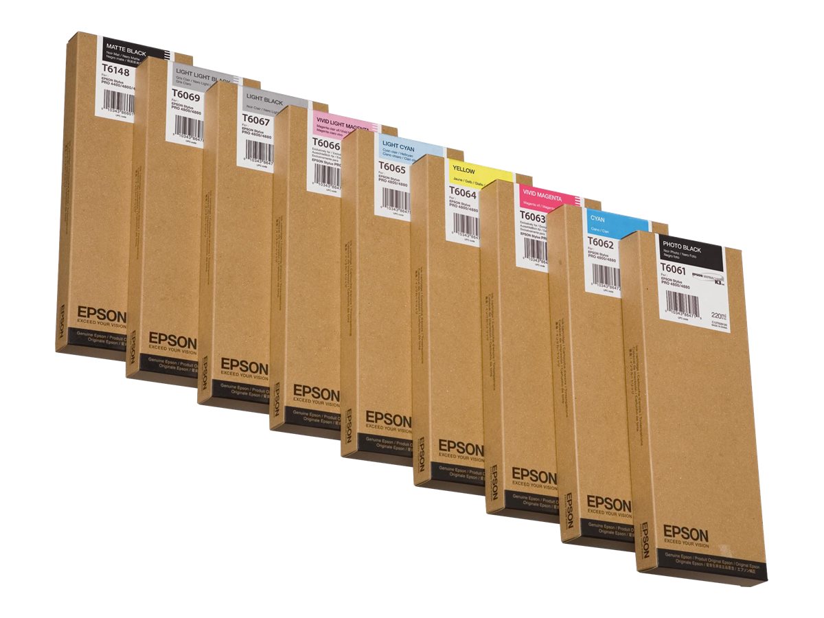 EPSON 5LB T6069 ink cartridge light