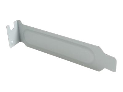 StarTech.com PLATEBLANKLP computer case part