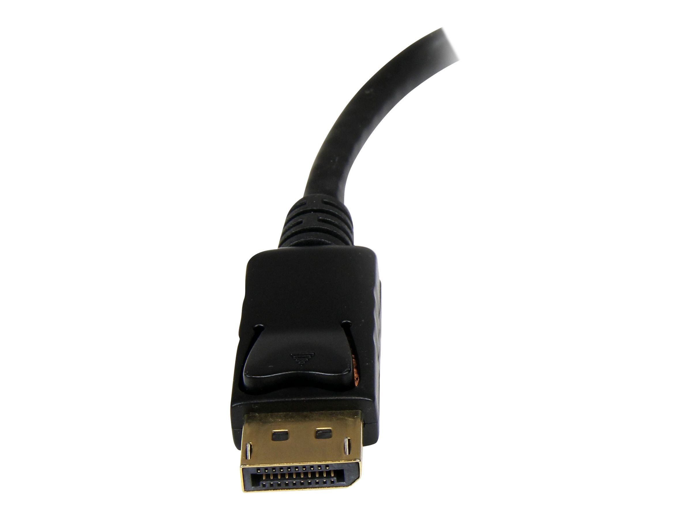 STARTECH DisplayPort Video Converter