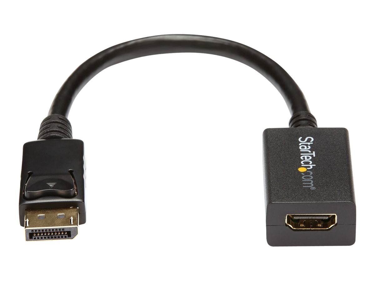 STARTECH DisplayPort Video Converter