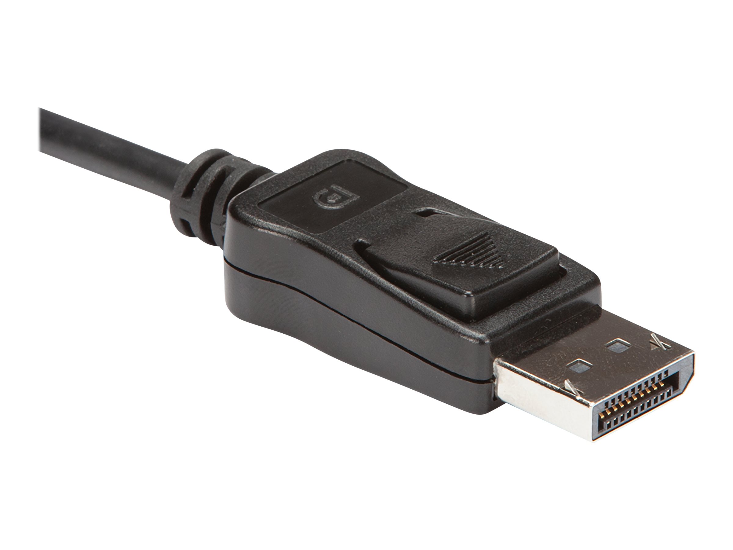 StarTech.com DP2DVID2 video cable adapter