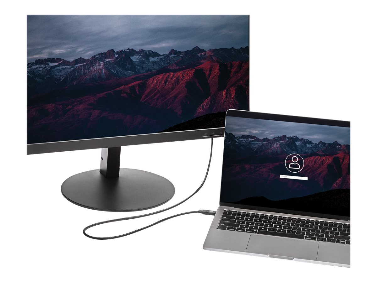 STARTECH 2m USB-C to DVI Cable