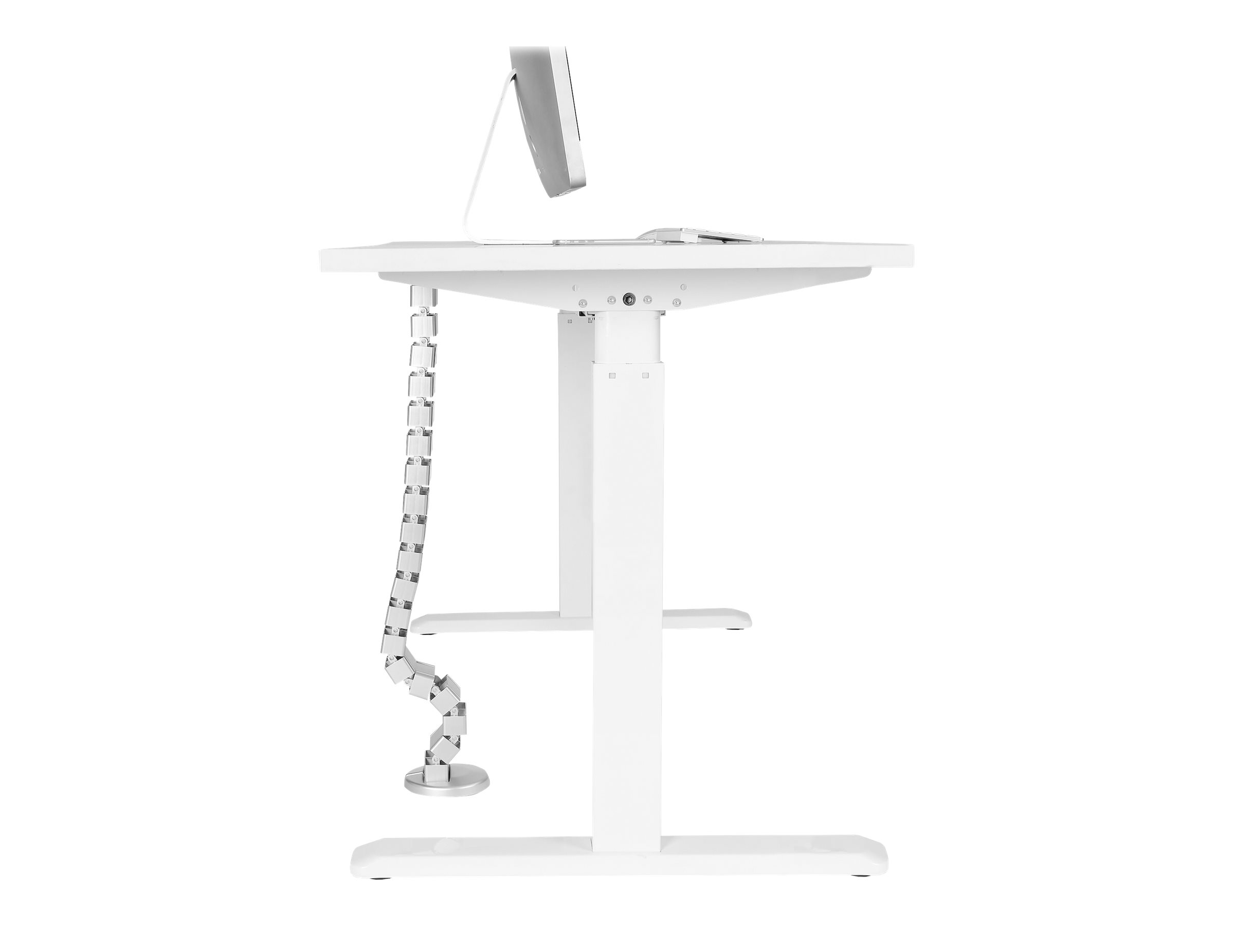 STARTECH Spine Cable Management - We