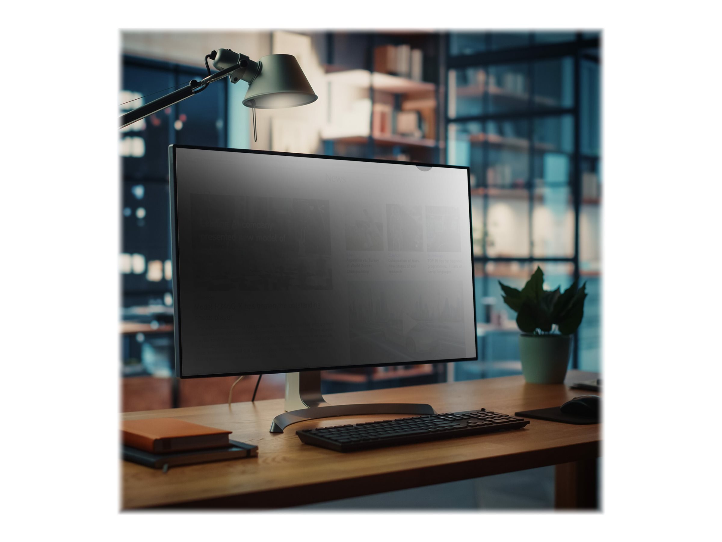 STARTECH 71,12cm Monitor Blickschutzfilt