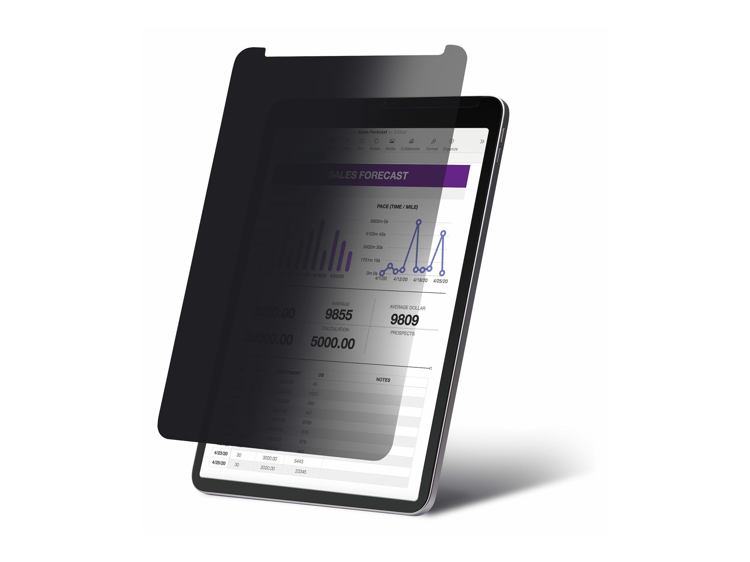 STARTECH 32,77cm iPad Pro Blickschutz