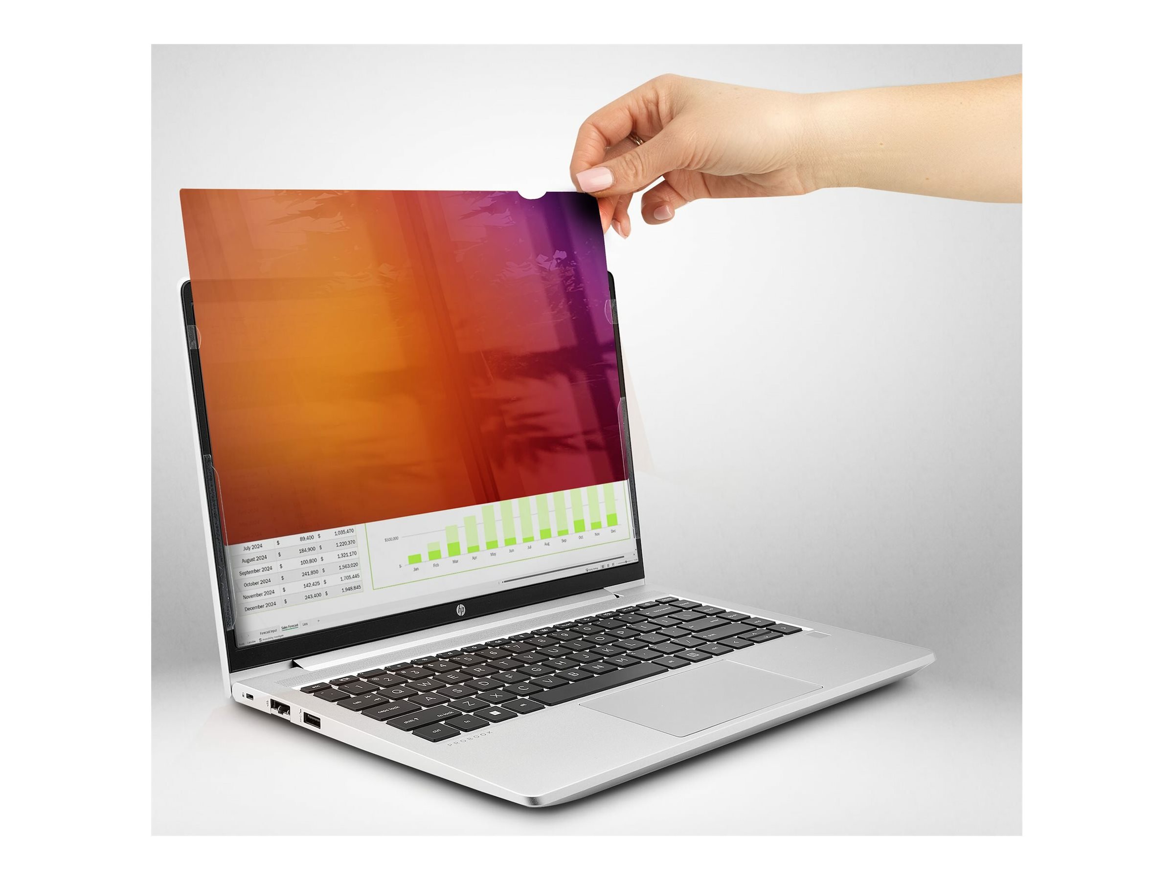 STARTECH 1416:9 Laptop Blickschutz