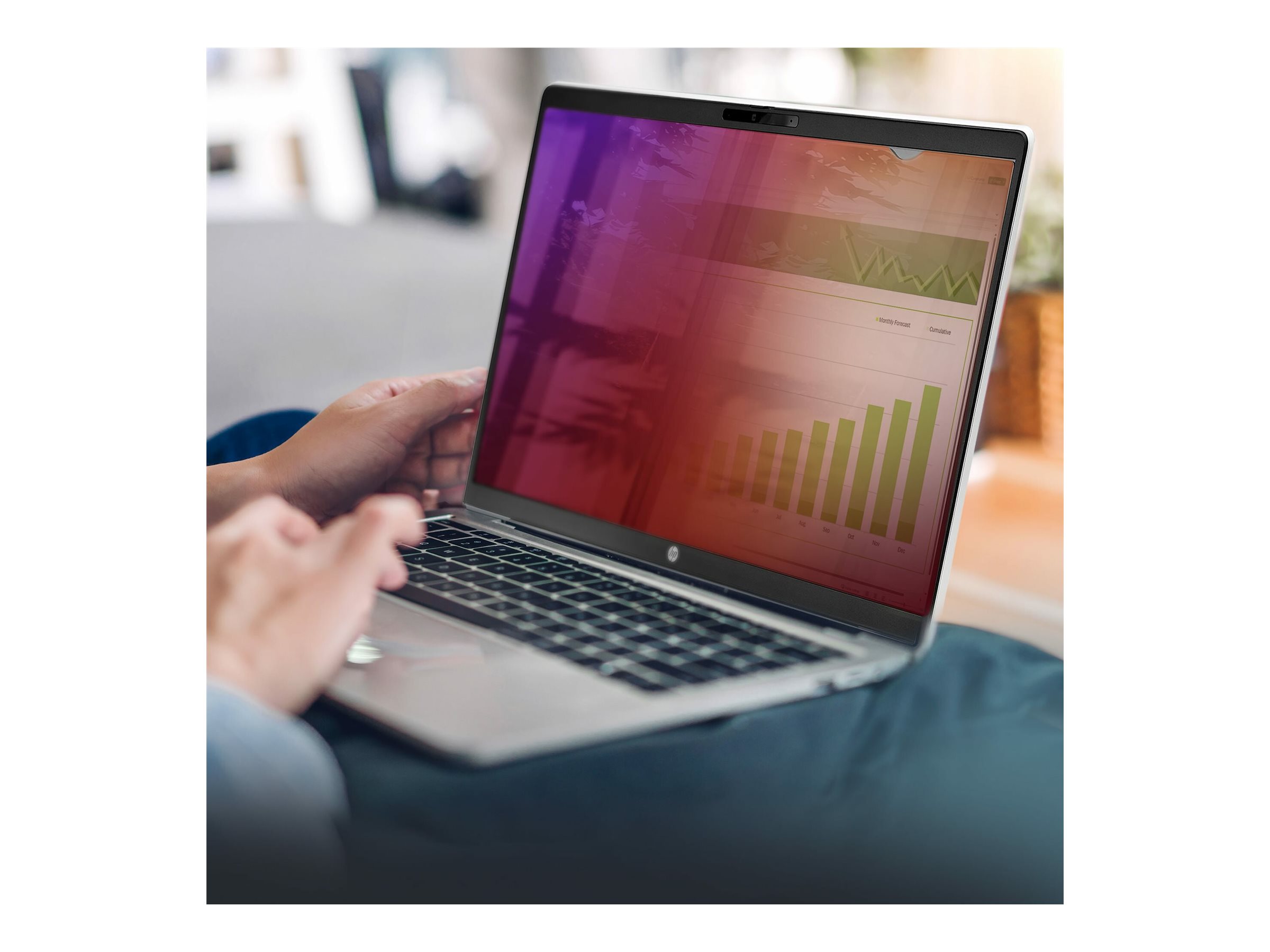 STARTECH 15,6 16:9 Laptop Blickschutz