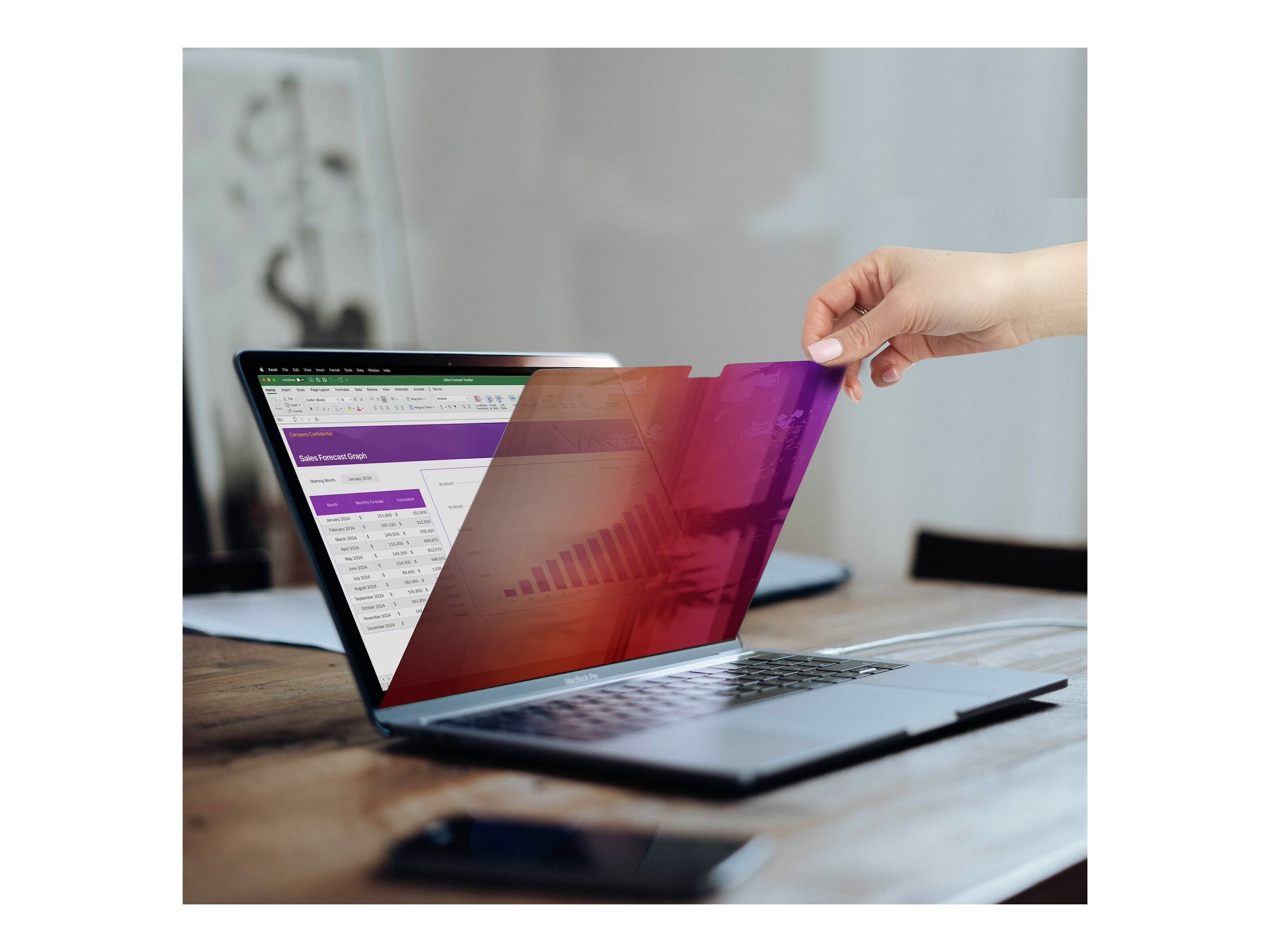 STARTECH 14 Zoll MacBook Blickschutz