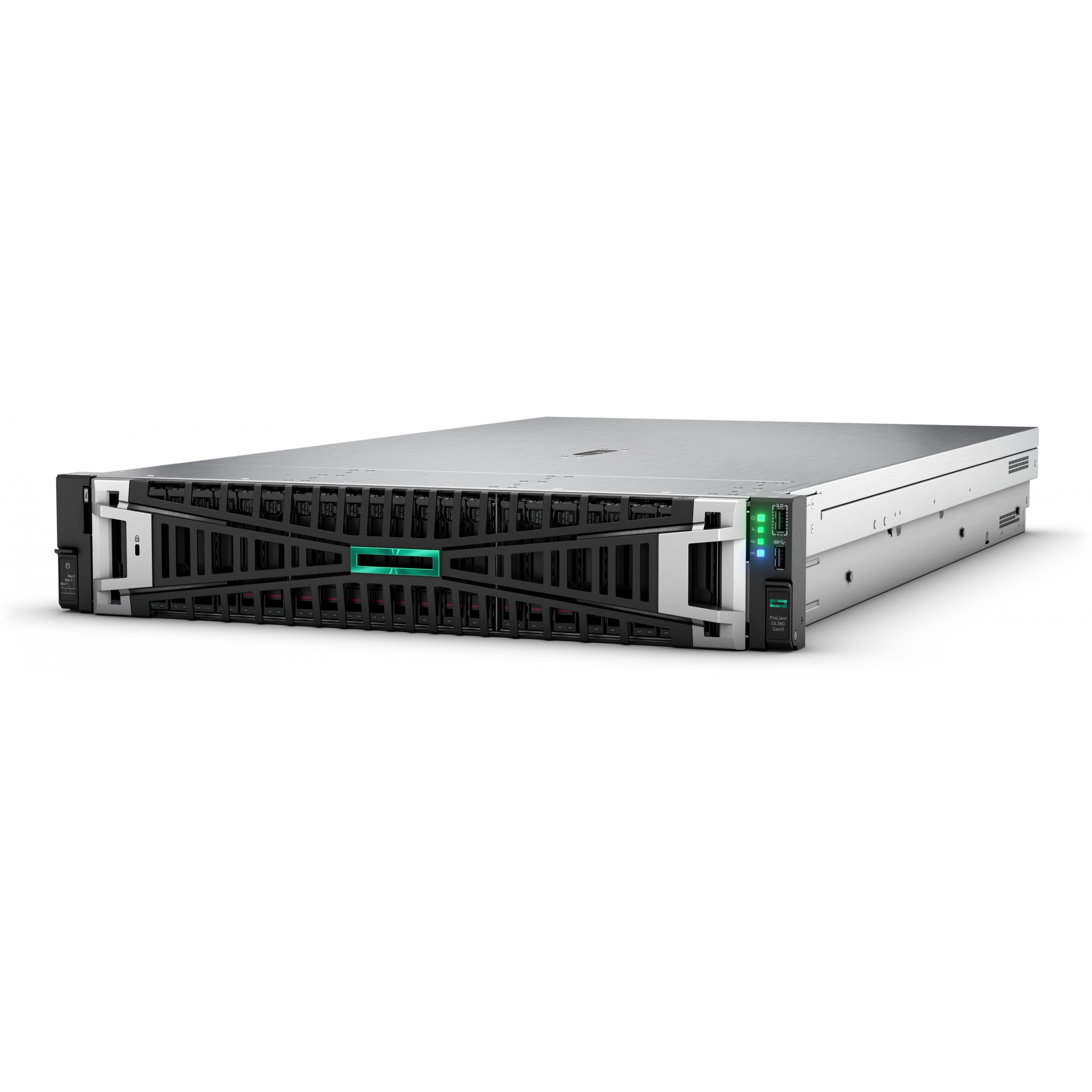 HPE DL380 G11 4510 64G 2x8TB 12LFF Svr