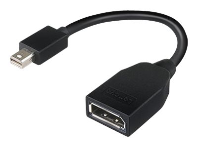 Lenovo 4X90L13971 DisplayPort-Kabel Mini DisplayPort Schwarz