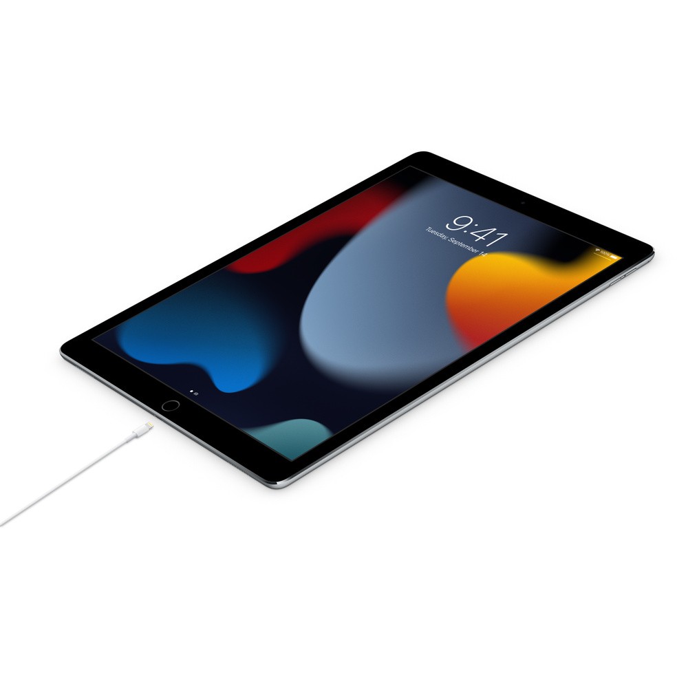 Apple USB-C auf Lightning Kabel (1m)