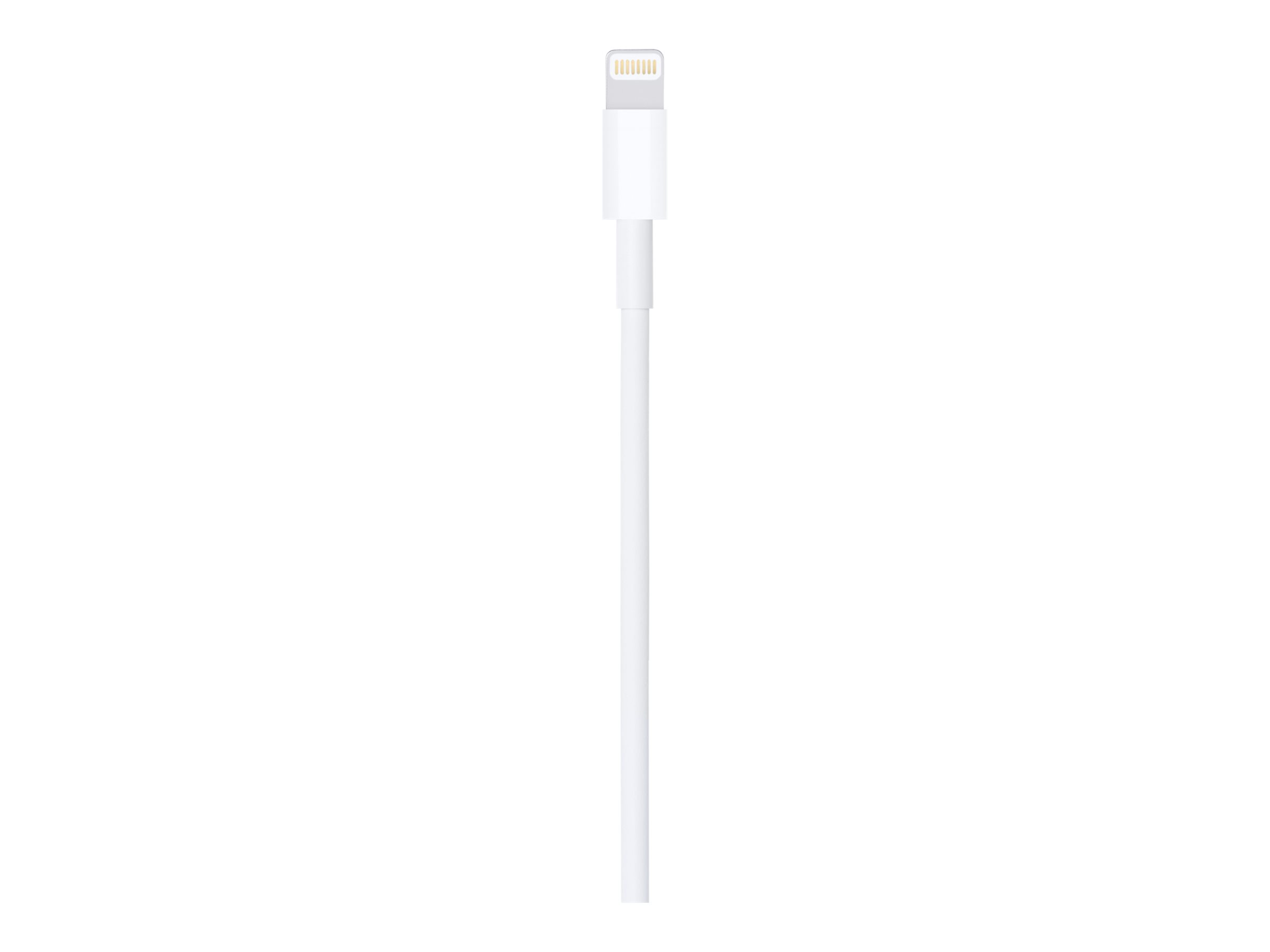 Apple Lightning auf USB Kabel (1m)