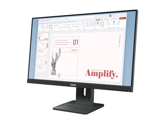 Lenovo ThinkVision E24-40 23,8