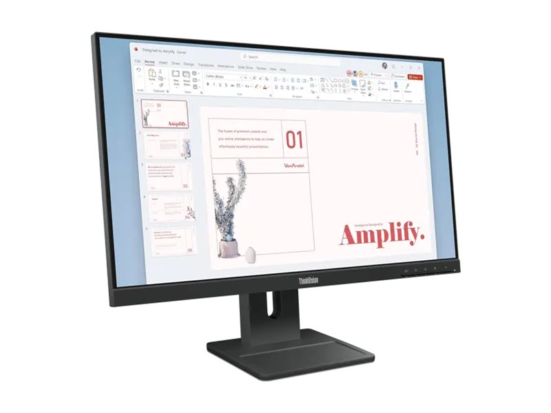 Lenovo ThinkVision E24-40 23,8