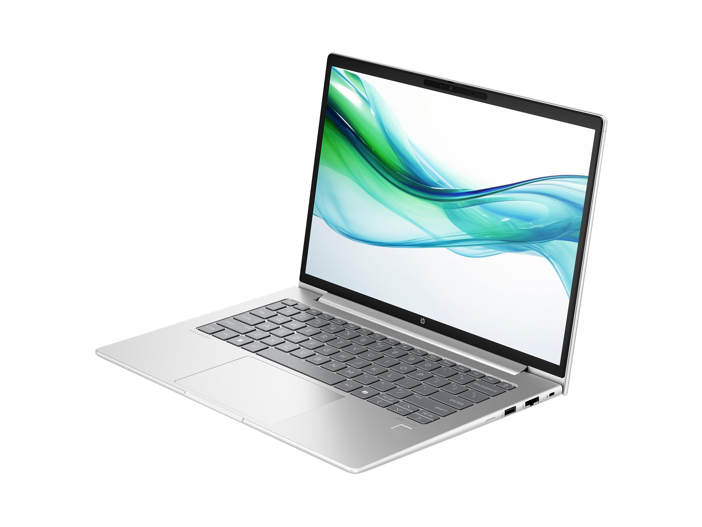 HP ProBook 445 G11 R5 16/512GB(DE)