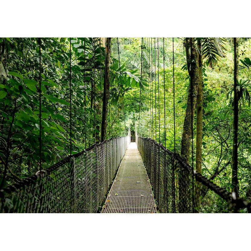 HP EliteBook 6 G1a R7 16/512GB(DE)