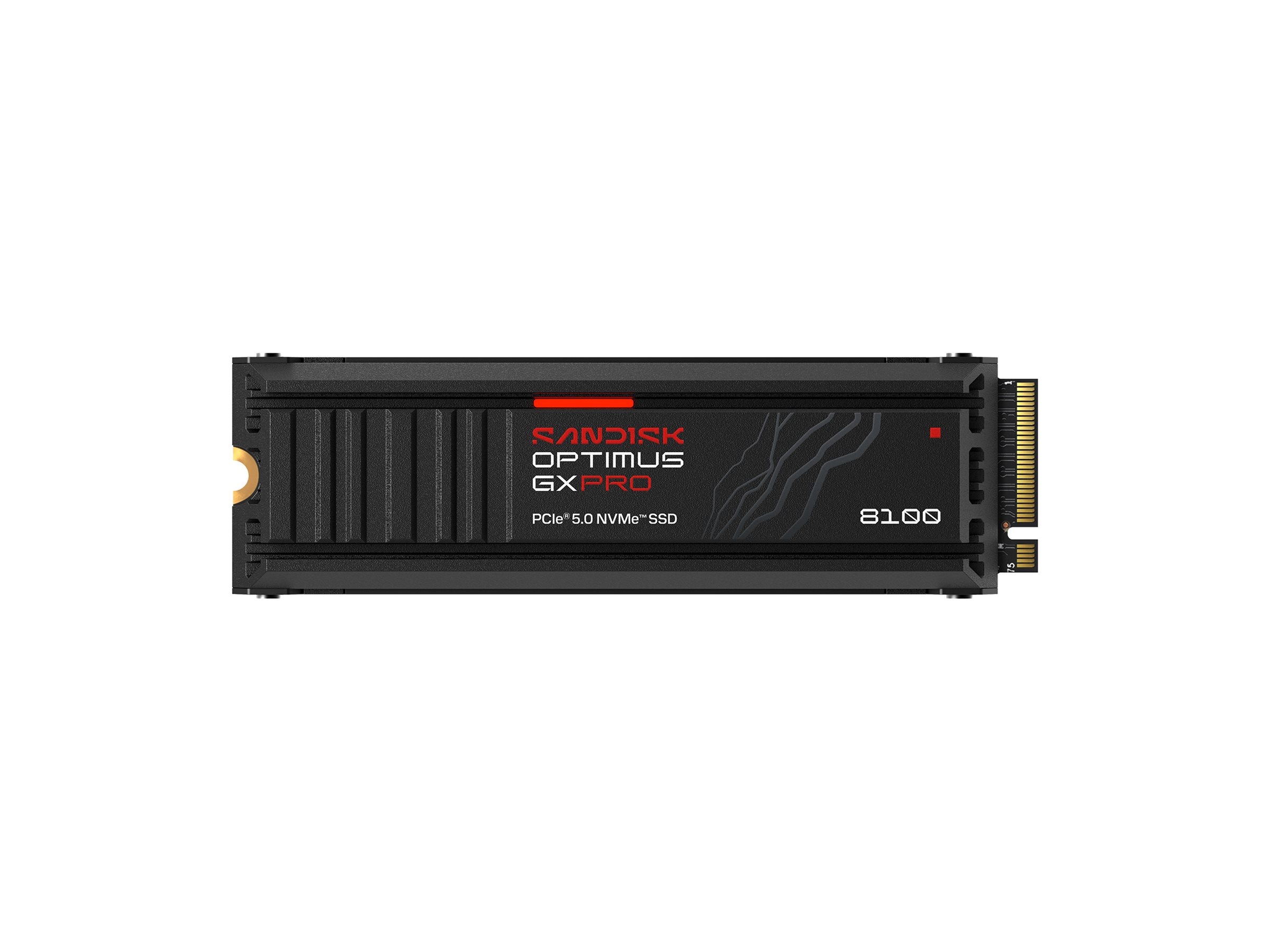 SANDISK Optimus GX PRO 8100 4TB Heatsink
