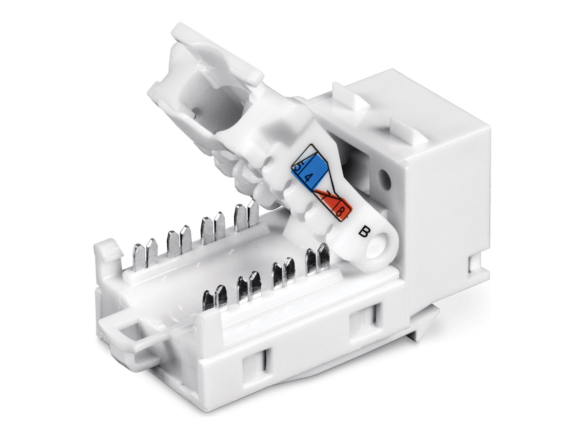 TRENDnet Keystone-Buchsen 50er-Pack Cat6 werkzeuglos 90°