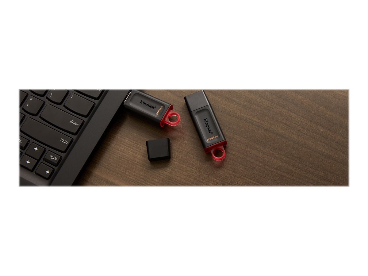 USB-Stick 256GB Kingston DataTraveler DTX  USB 3.2 (BL/PI) retail