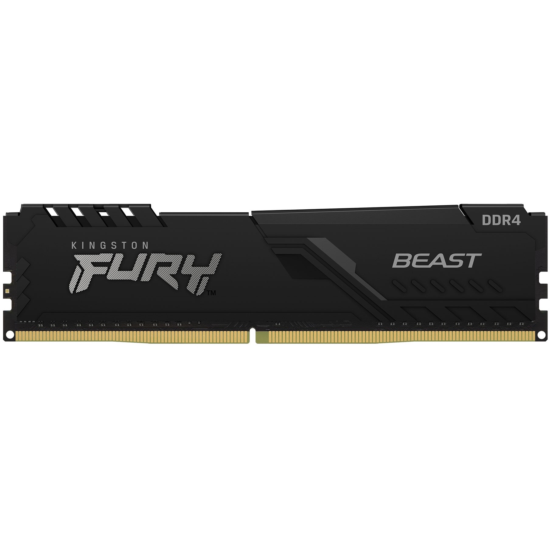 Kingston Technology FURY Beast memory module