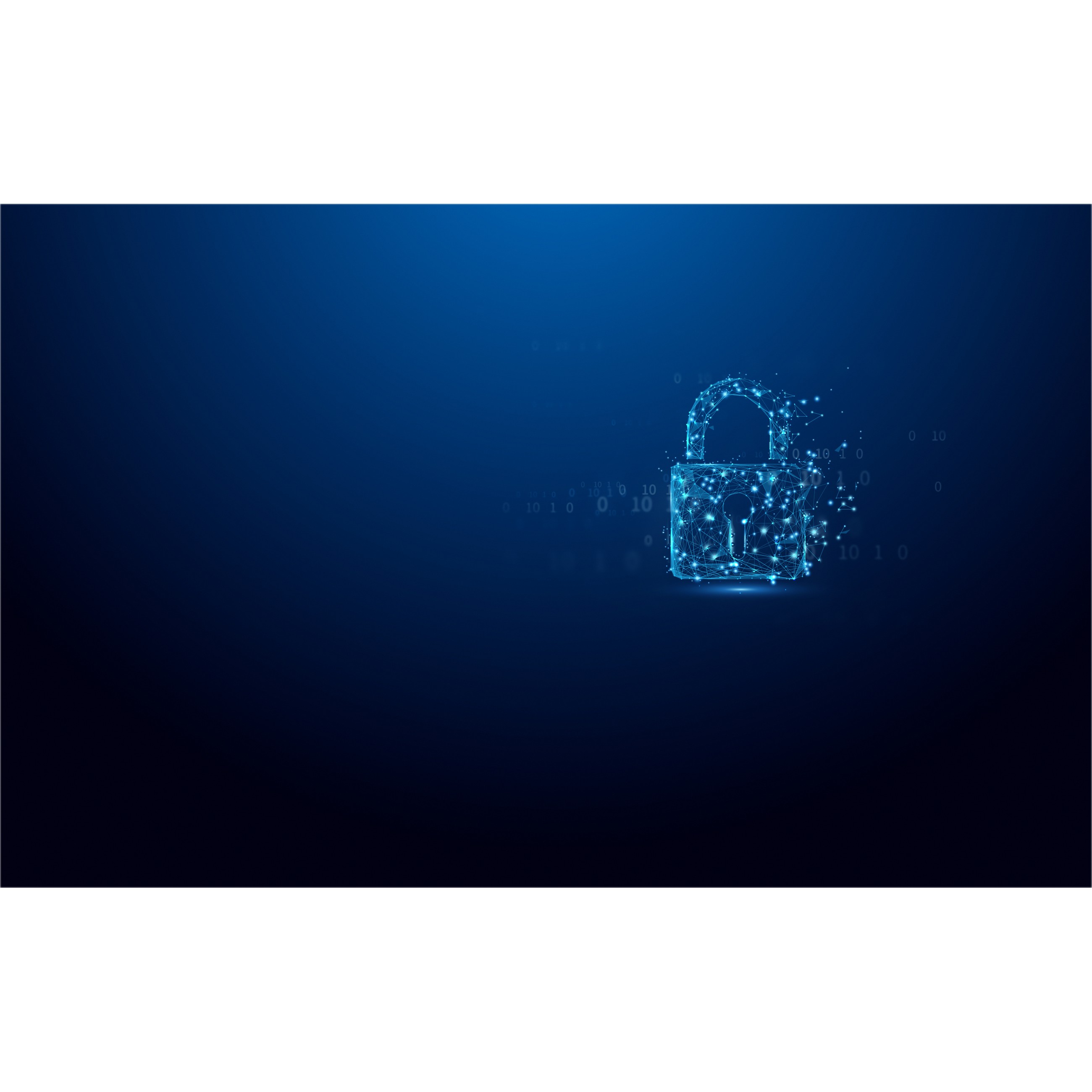 KINGSTON 256GB IronKey Vault Privacy USB