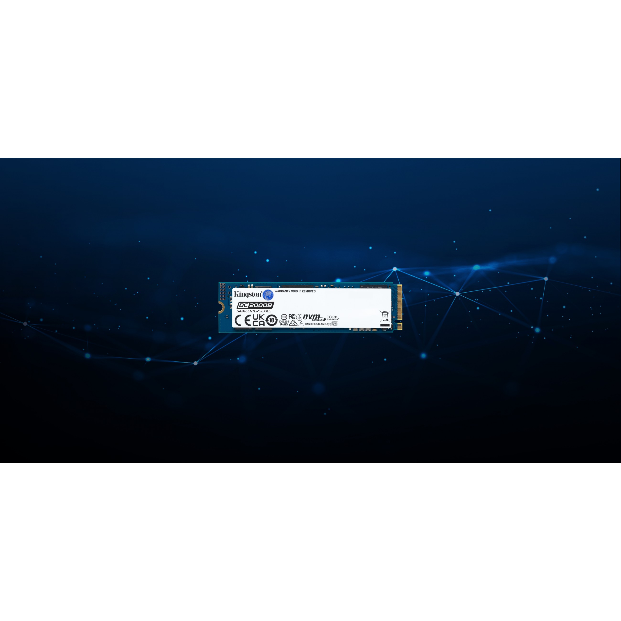 Kingston Technology DC2000B