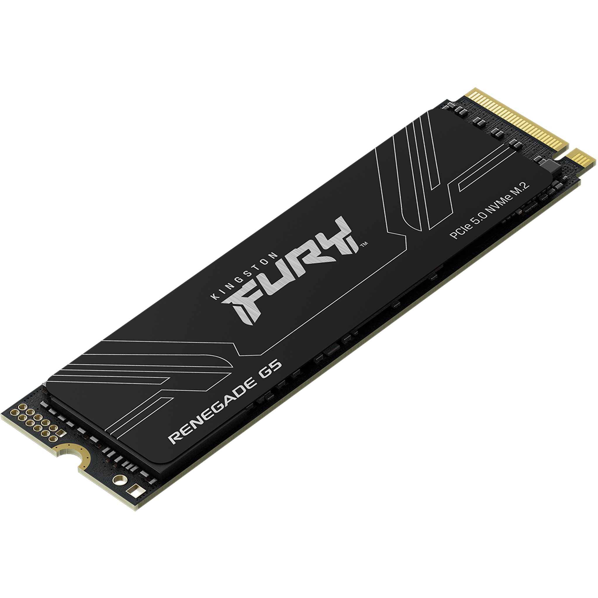 KINGSTON FURY Renegade G5 2048GB M.2