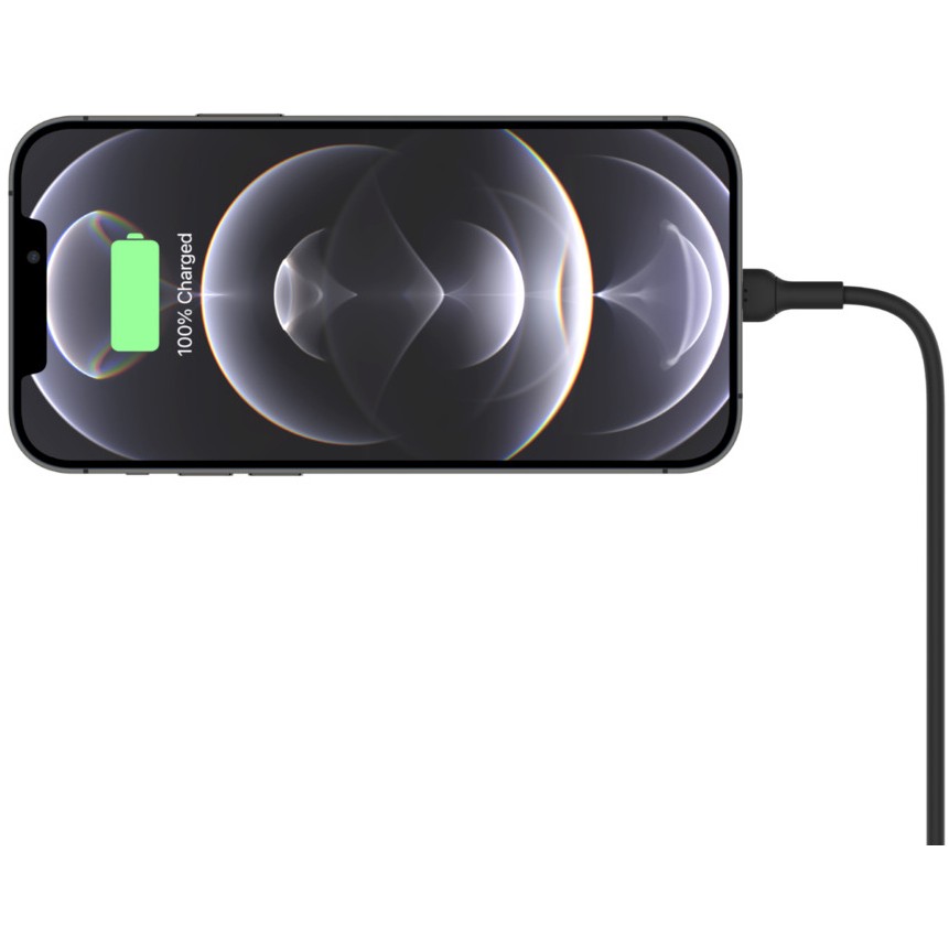 Belkin WIC004BTBK-NC mobile device charger