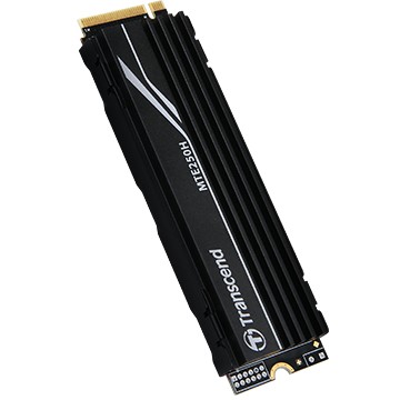 Transcend MTE250H