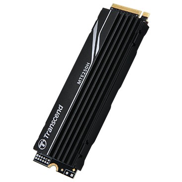 Transcend MTE250H