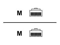 INT Netzwerkkabel Cat5e SF/UTP 2m gruen
