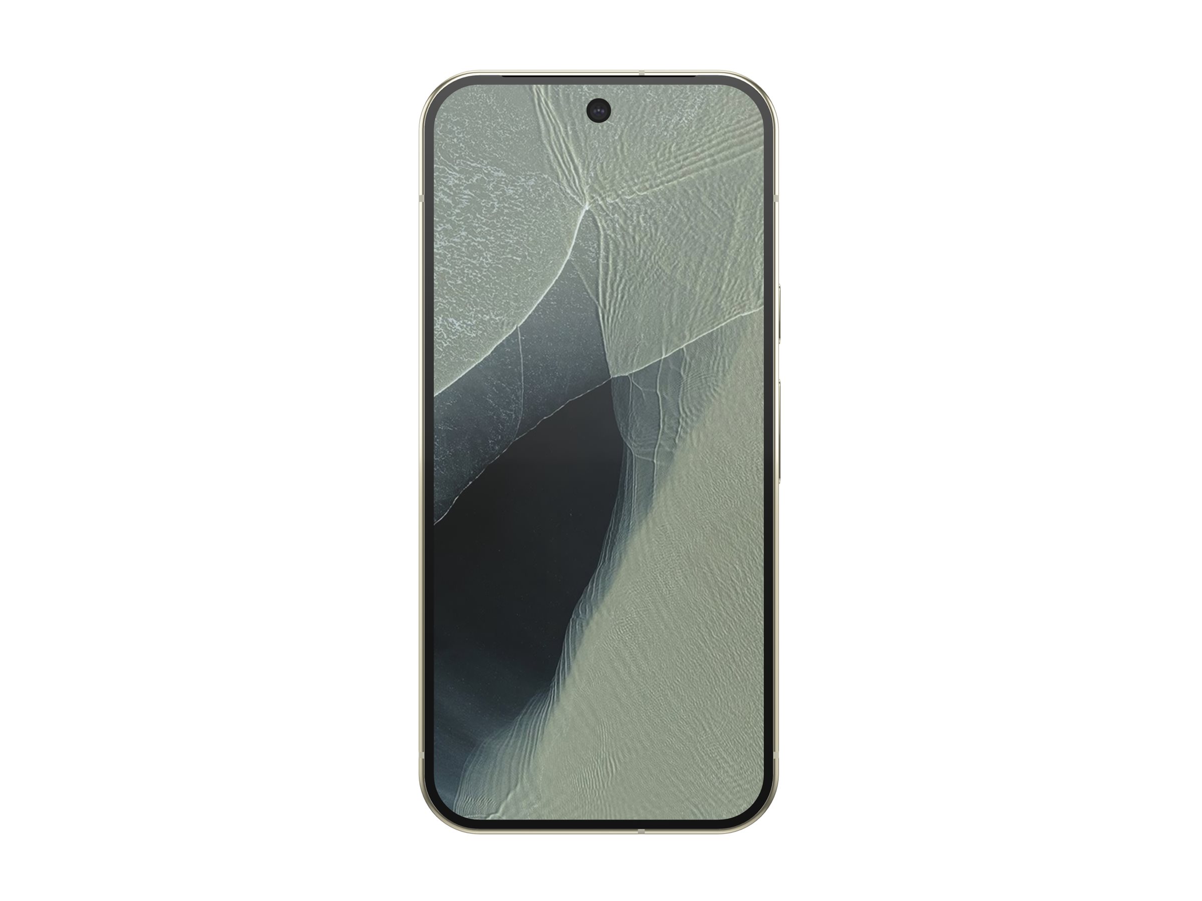 TELEKOM Google Pixel 11 Pro 256GB grün