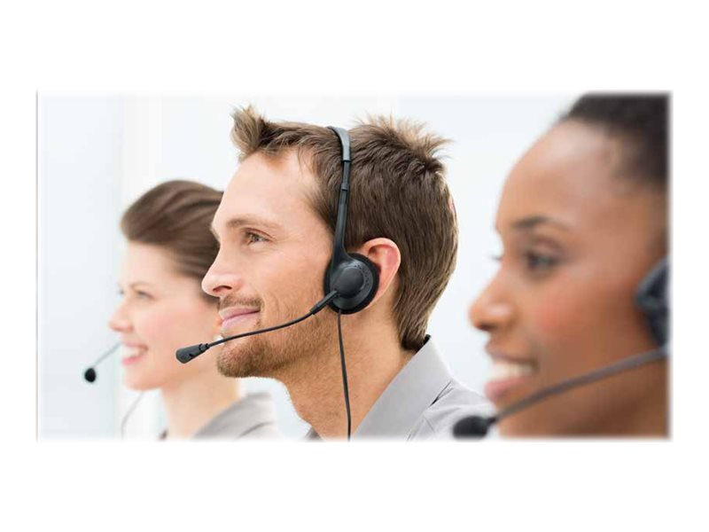 ALE Professional Headset AH 12 GA