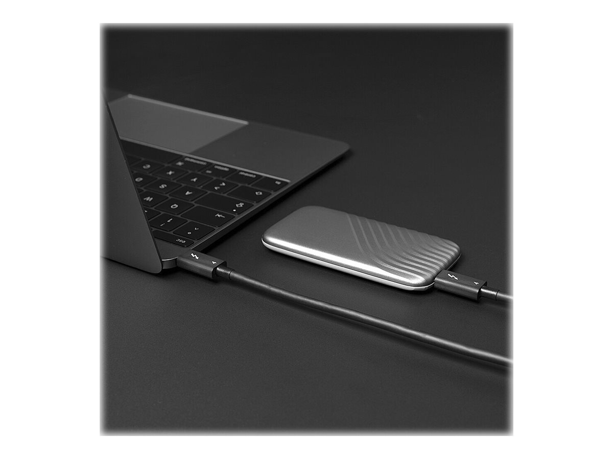 LINDY 1m Thunderbolt 4 Kabel, passiv