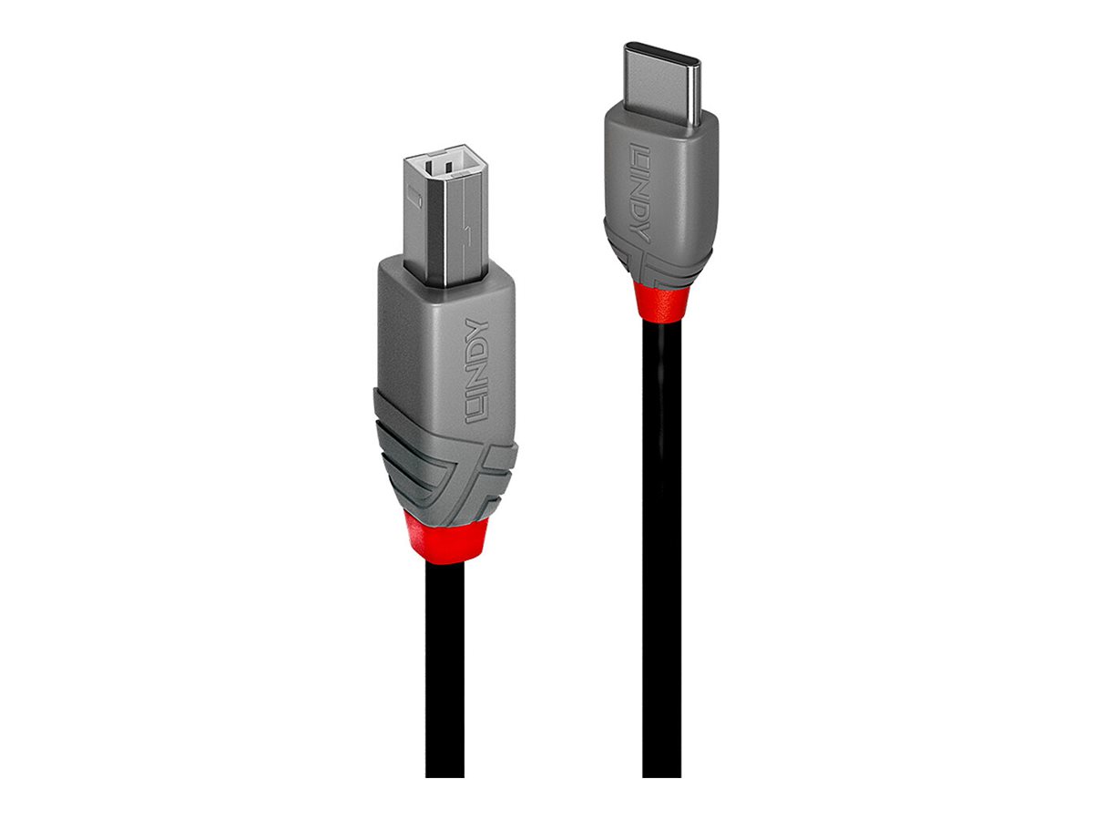 LINDY 0,5m USB 2.0 Type C an B Kabel Ant