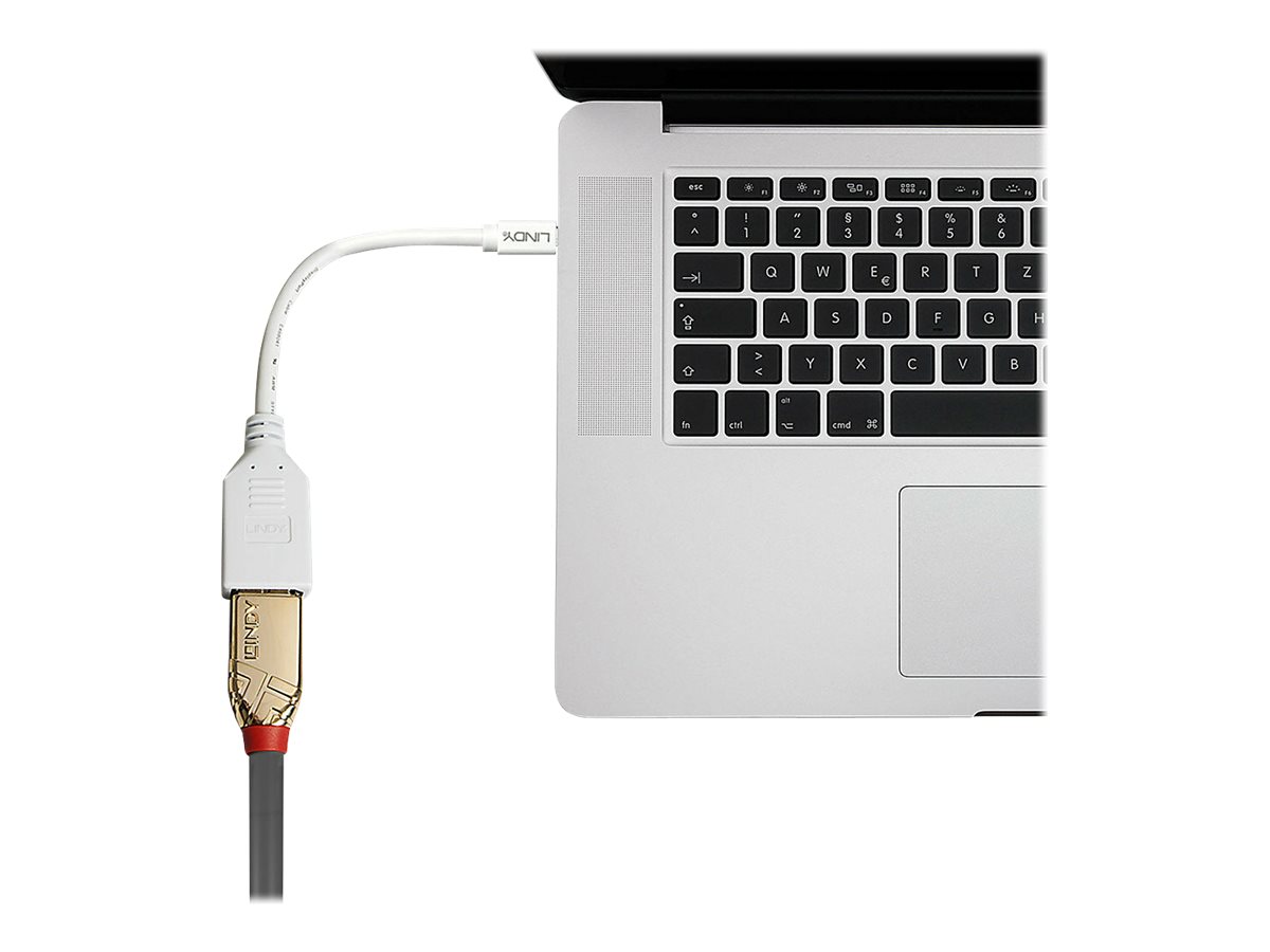 Lindy 41021 DisplayPort-Kabel 0,15 m Mini DisplayPort Weiß