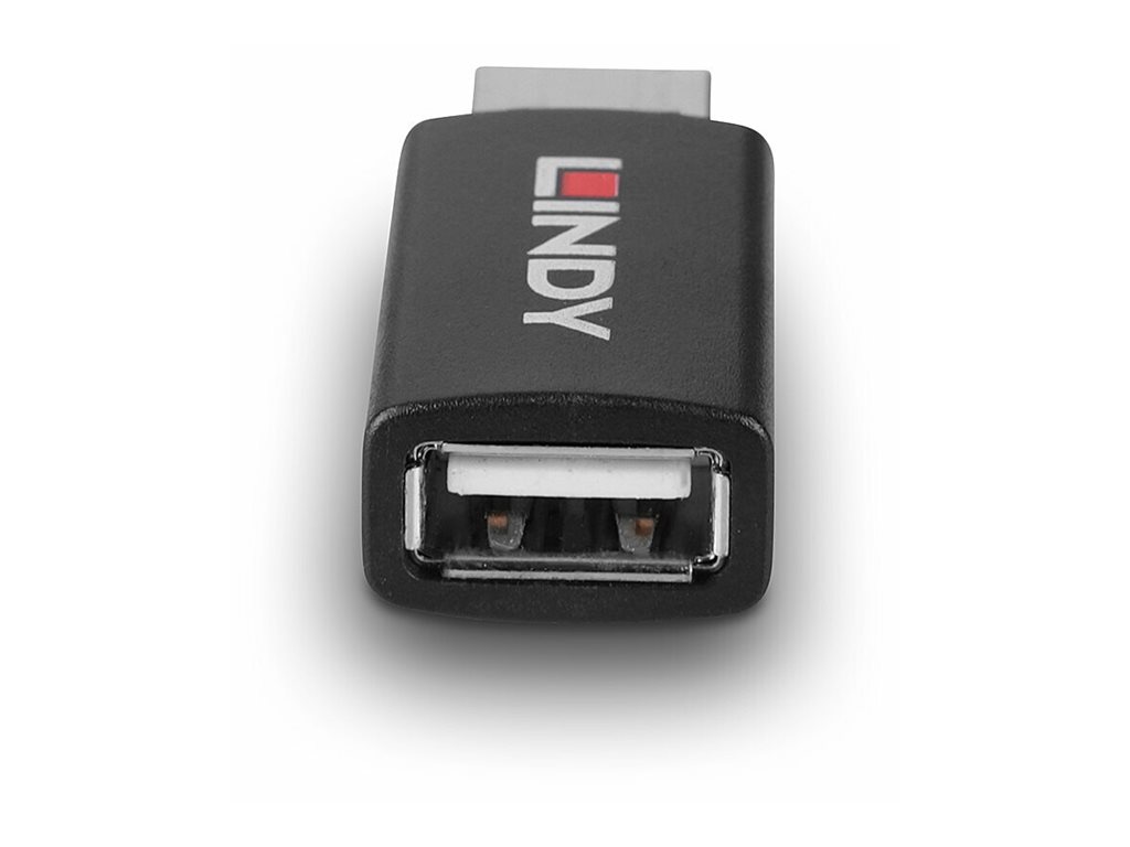 Lindy 71263 Kabeladapter USB Type A Schwarz
