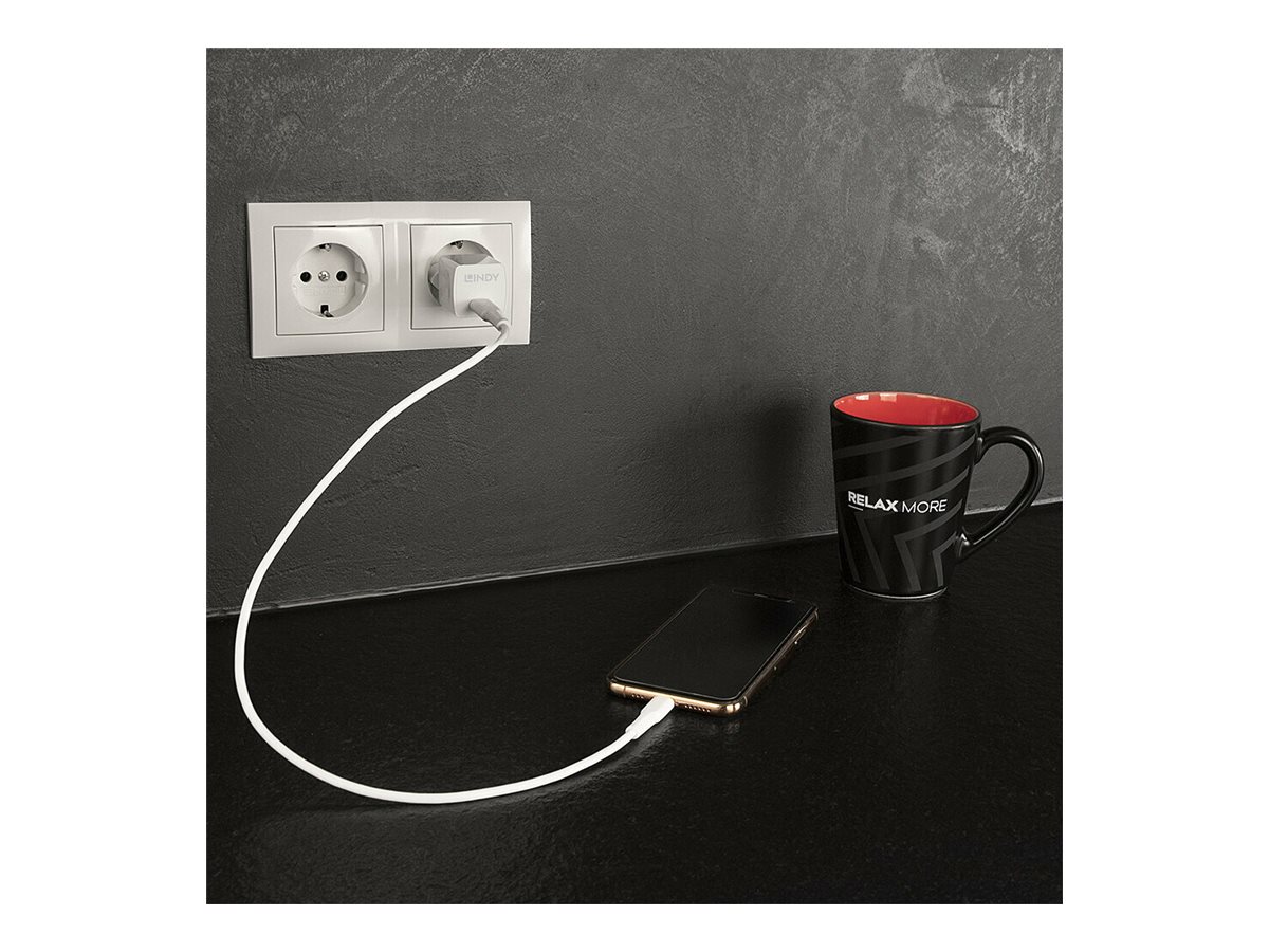 Lindy 73410 Ladegerät für Mobilgeräte Smartphone Weiß AC Drinnen