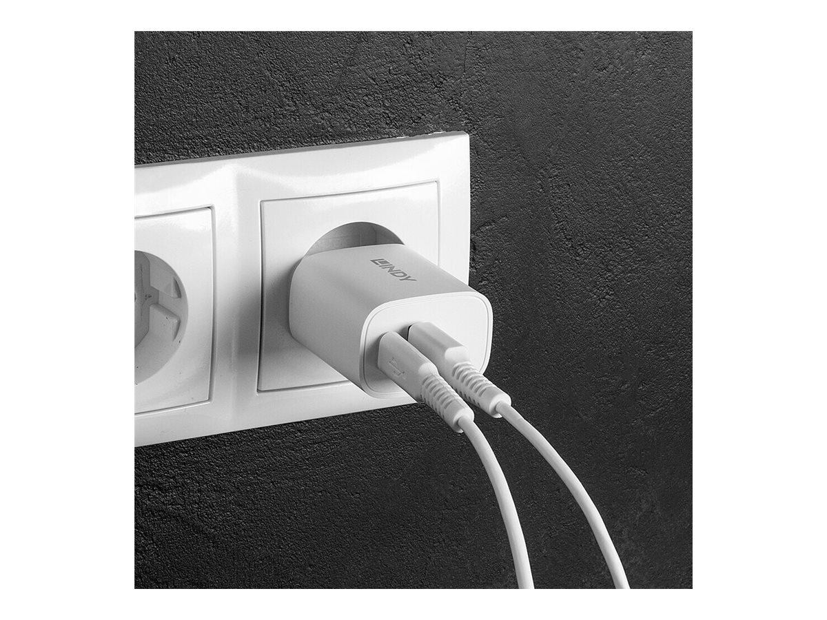 LINDY USB Typ A & C Charger 20W, weiß