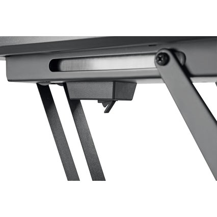 Schwaiger DEH 23-55 schw. max.30KG Dachschrä. aut. klappb.