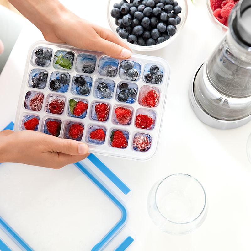EMSA 514549 food storage container