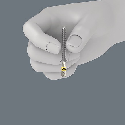 Wera Bit-Check 12 Wood TORX HF 1