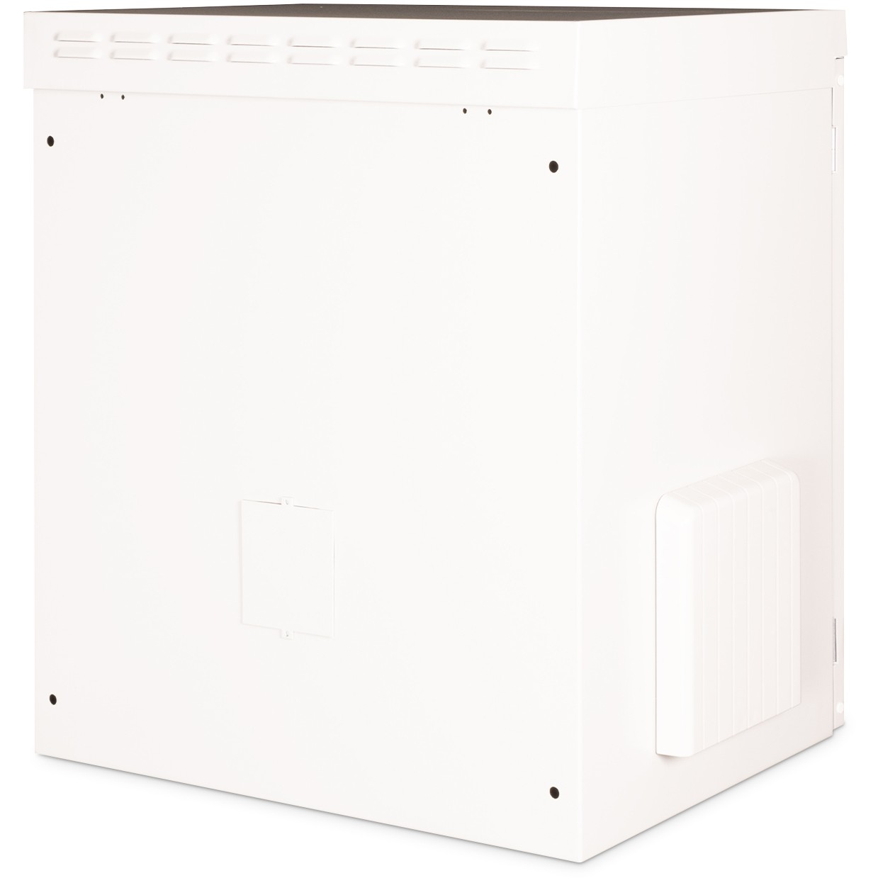 DIGITUS IP55 Outdoor Wandgehaeuse 12HE