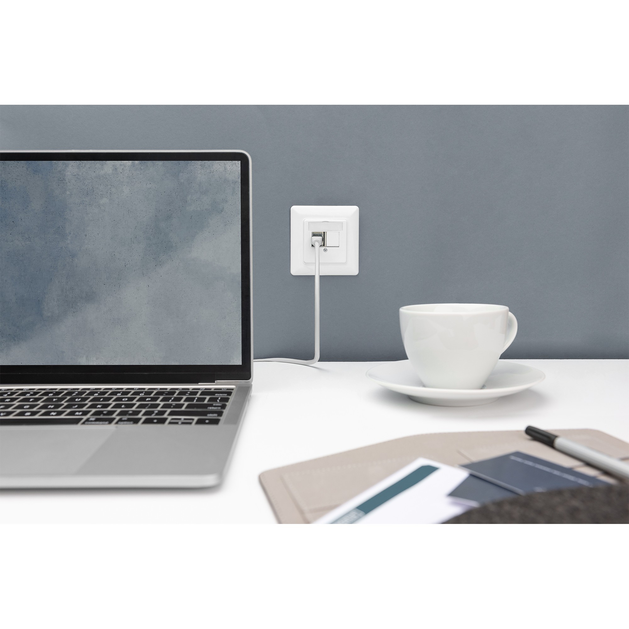 DIGITUS Leerdose mit Zentralplatte u. Rahmen, 2x Keystone