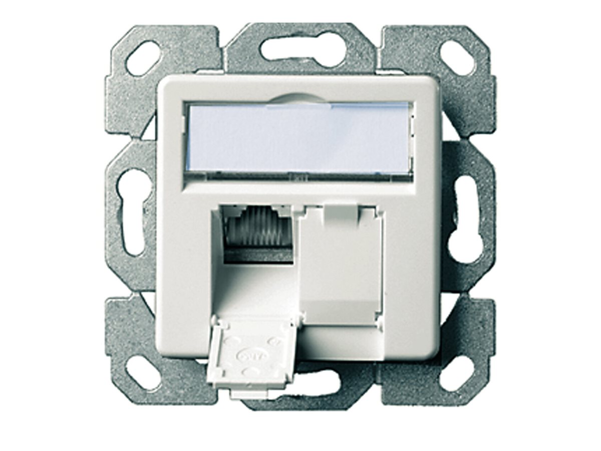 TELEGÄRTNER Dose AMJ45 UP/50 2x RJ-45 Kat.5e (Class D), alpinweiss