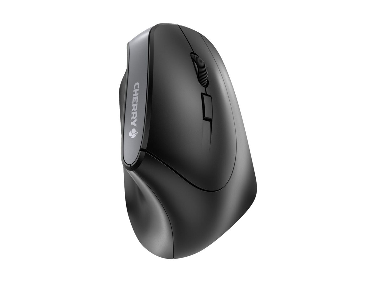 CHERRY MW 4500 mouse