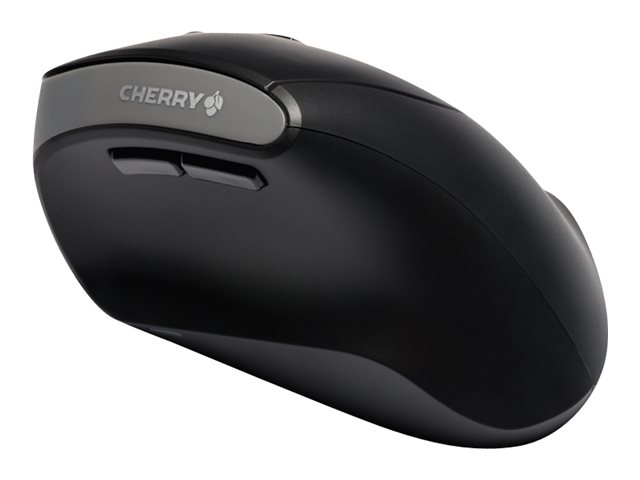 CHERRY MW 4500 mouse