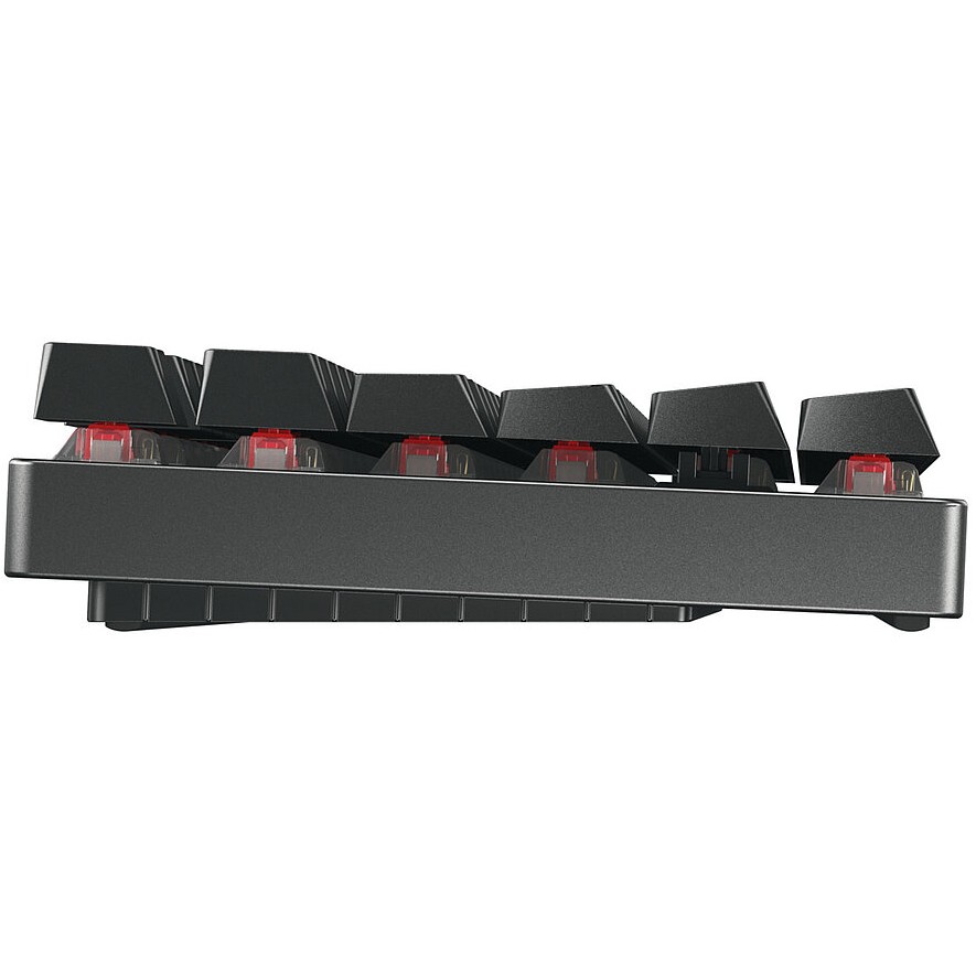 CHERRY MX 8.2 Wireless Keyboard TKL WL (without suitcase)