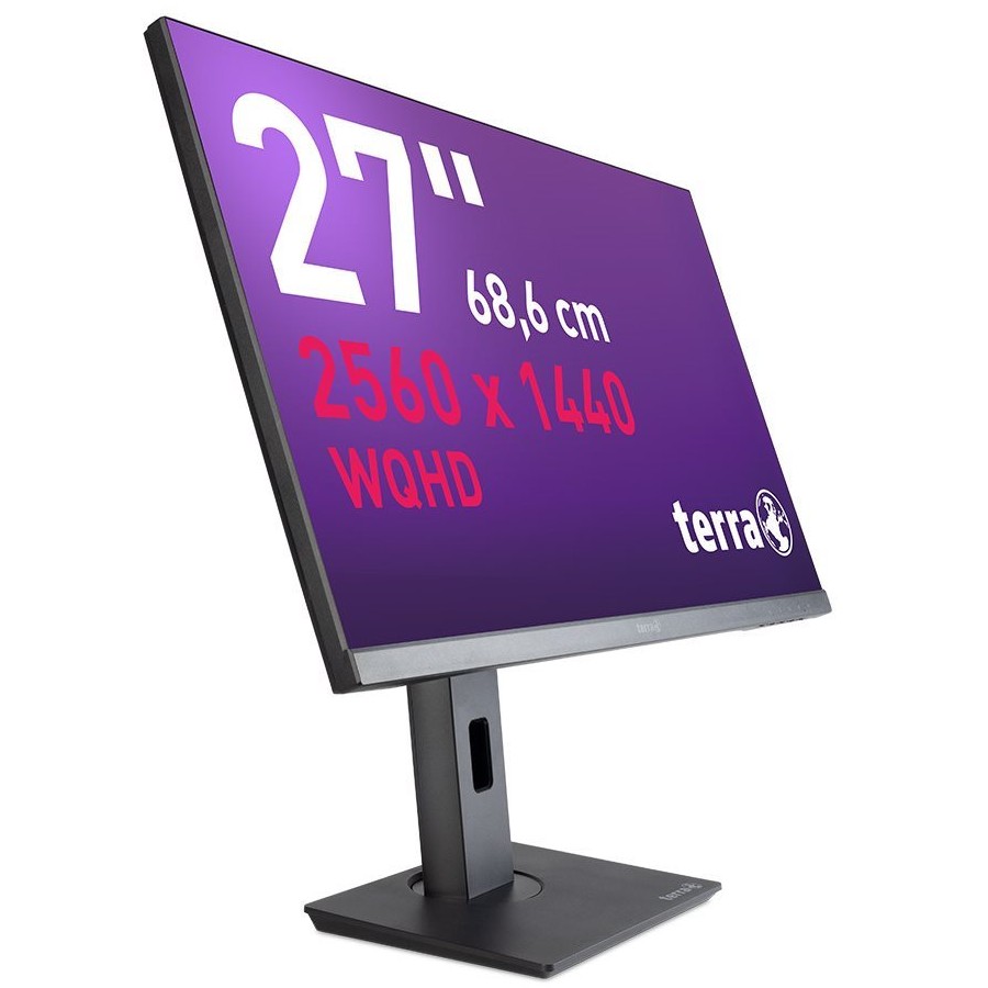 TERRA 3030223 computer monitor