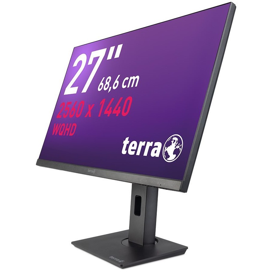 TERRA 3030231 computer monitor